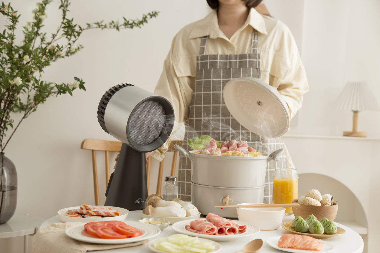 Portable Range Hood Gen 3