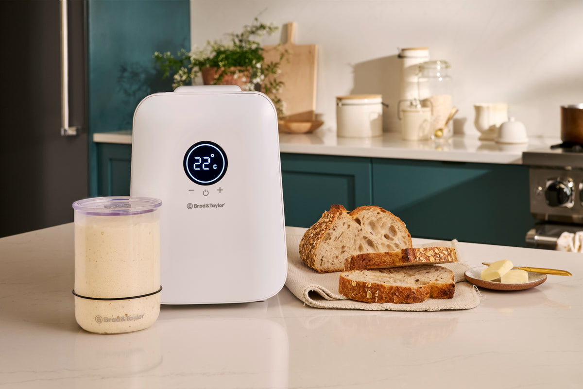 Sourdough Home (100-240V)
