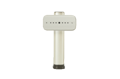 Global Voltage Handheld Steamer - Champagne Gold