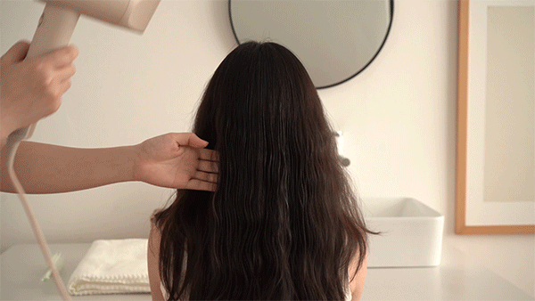 Worldwide High Speed Hair Dryer - Griege