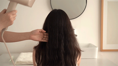 Worldwide High Speed Hair Dryer - Griege