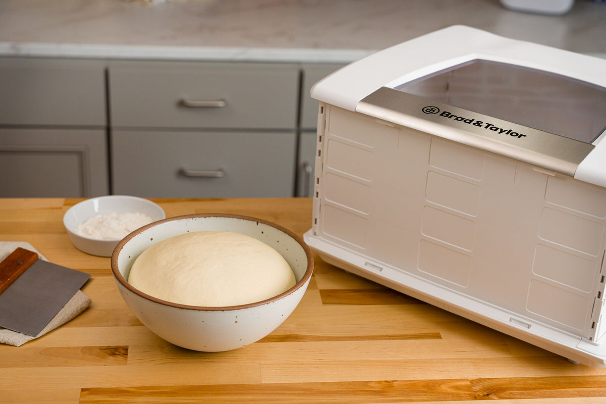 Foldable Bread Proofer and Slow Cooker