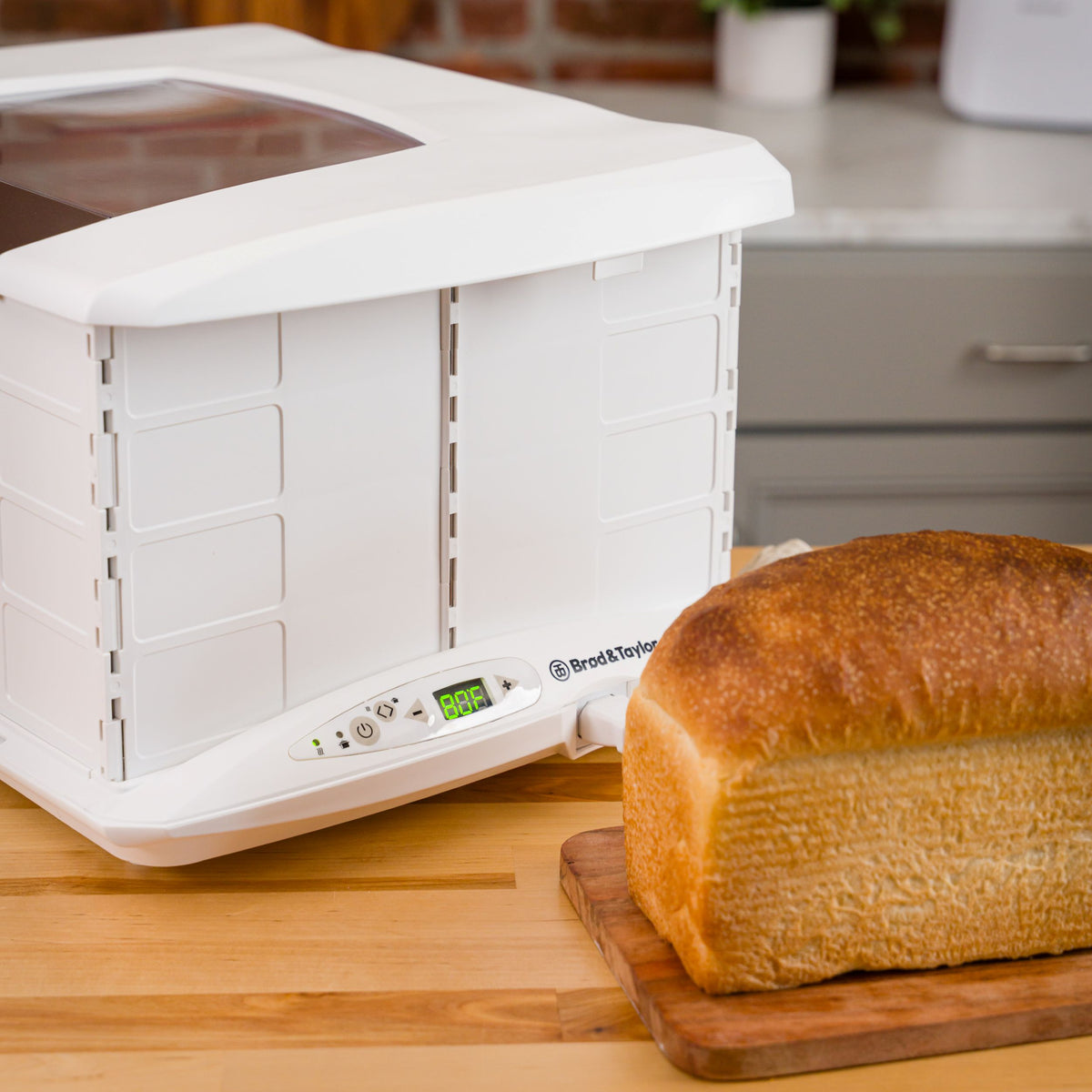 Foldable Bread Proofer and Slow Cooker