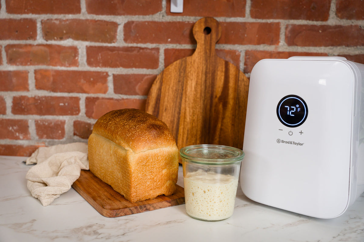 Sourdough Home (100-240V)