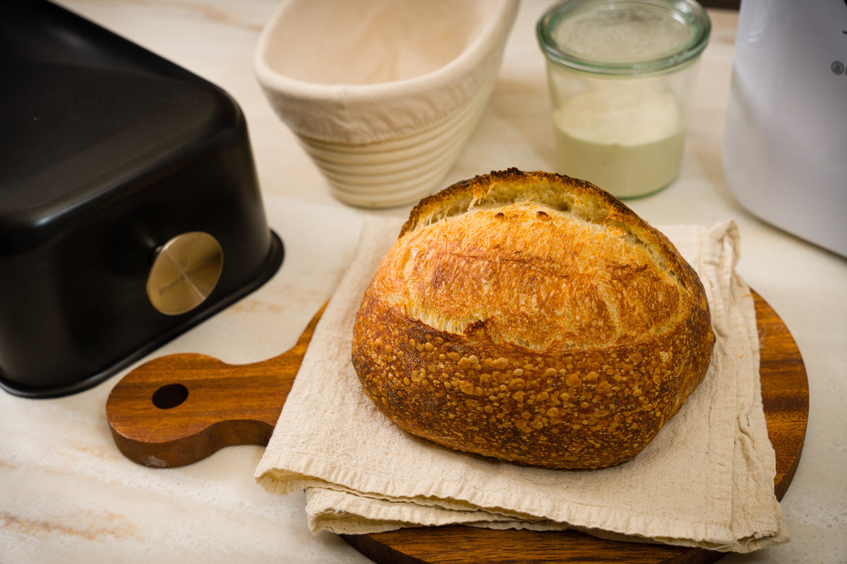 Oblong Baking Shell (Batard) 12.5"