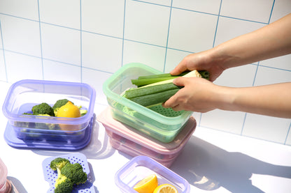 Push Lock Rectangle Collapsible Lunch Box 1200ML
