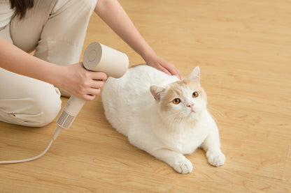 Worldwide High Speed Hair Dryer - Griege