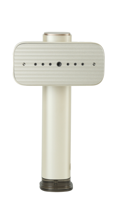 Global Voltage Handheld Steamer - Champagne Gold