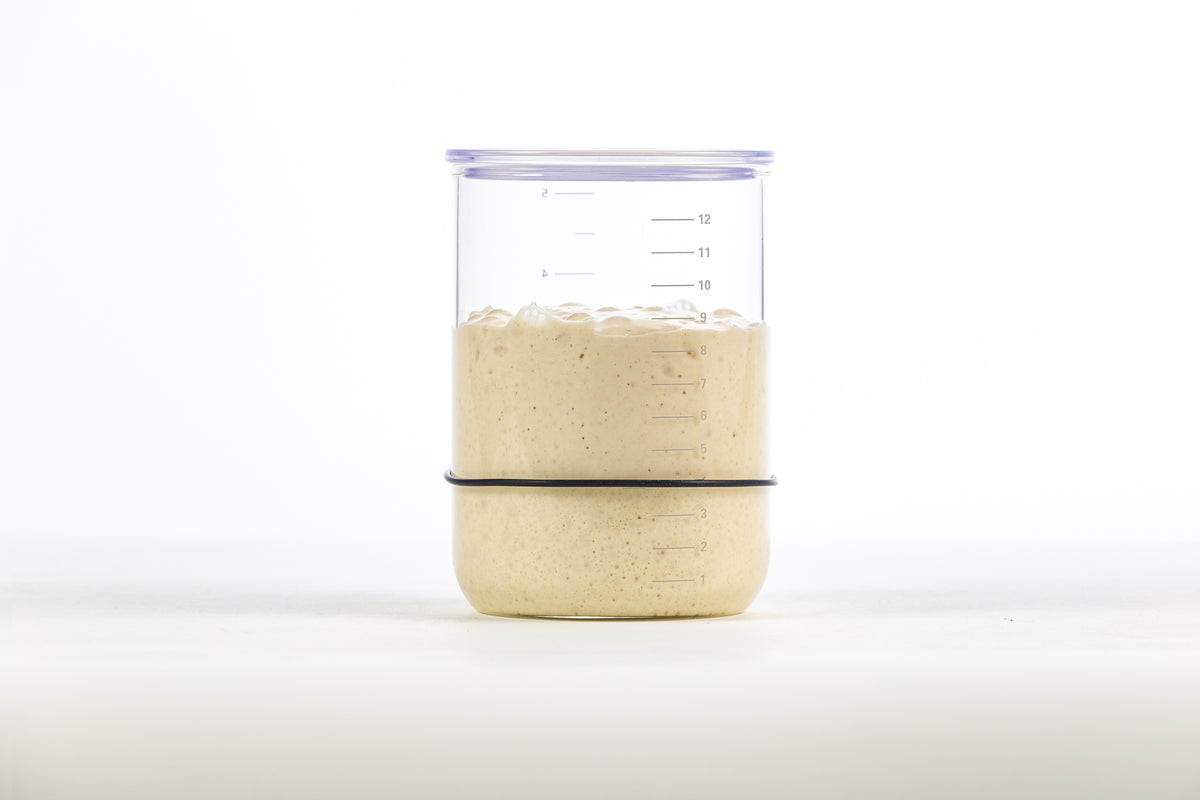 Sourdough Starter Jar