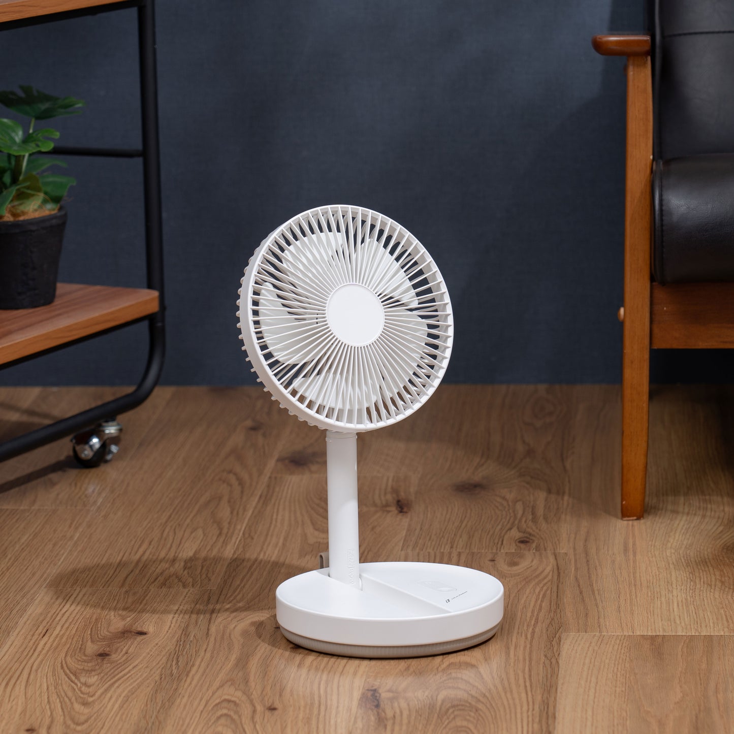 Folding Cordless Living Fan