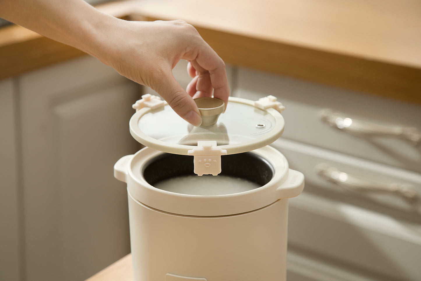 Compact Rice Cooker