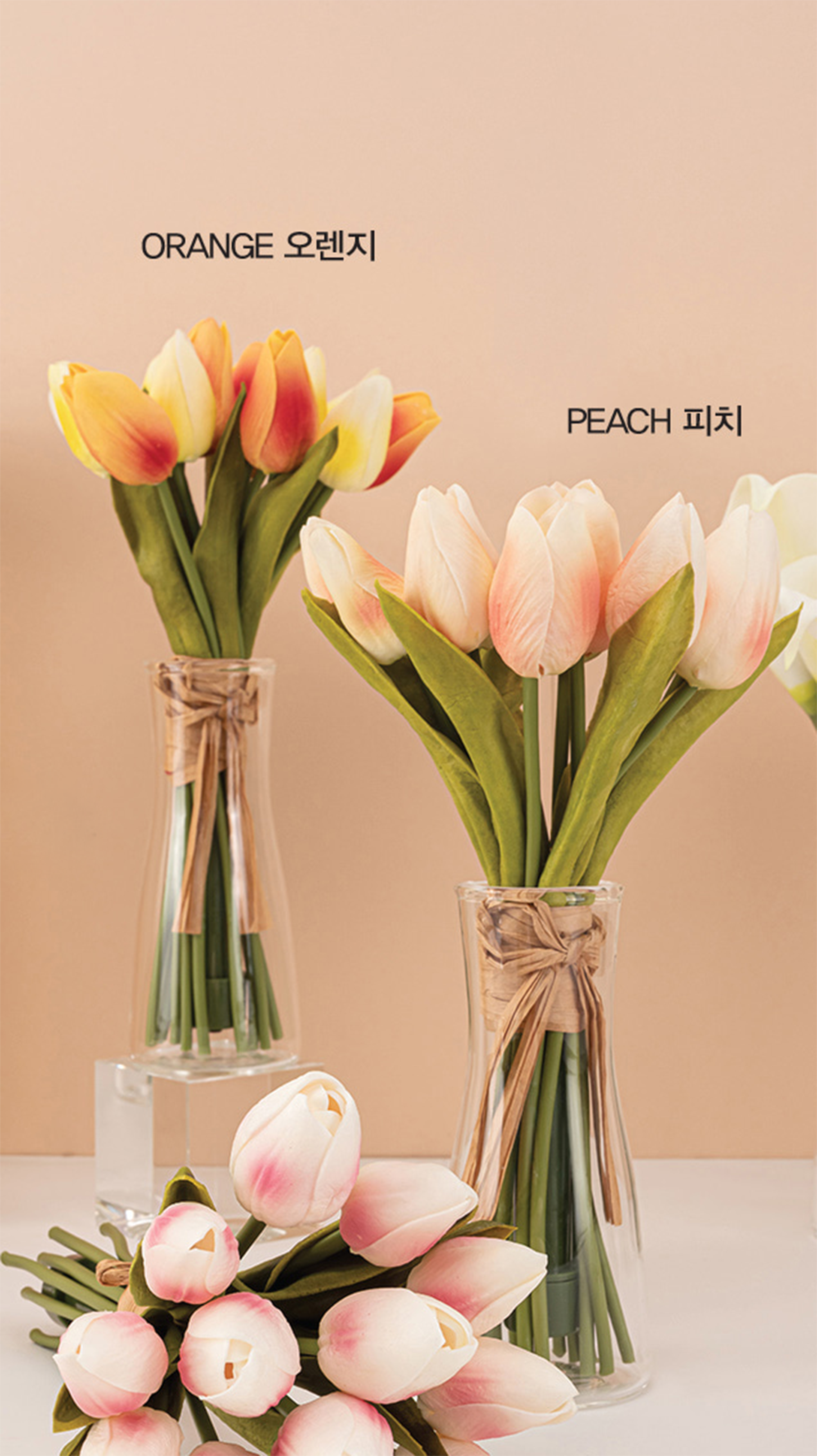 Tulip bulbs La Vie en Rose - luxury, exclusive tulip! - Tulip Store